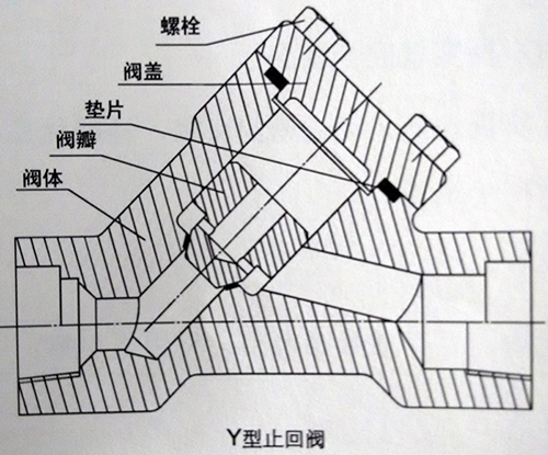 Y型止回阀结构图