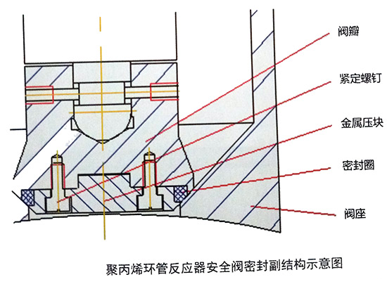 聚丙烯环管反应器安全阀密封副结构示意图
