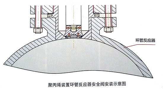 聚丙烯装置环管反应器安全阀安装示意图